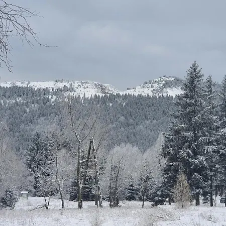 Mira Проживание в семье *