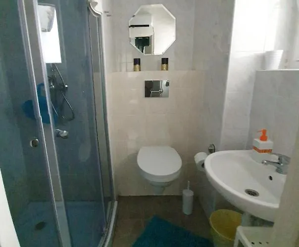 Проживание в семье Mira *