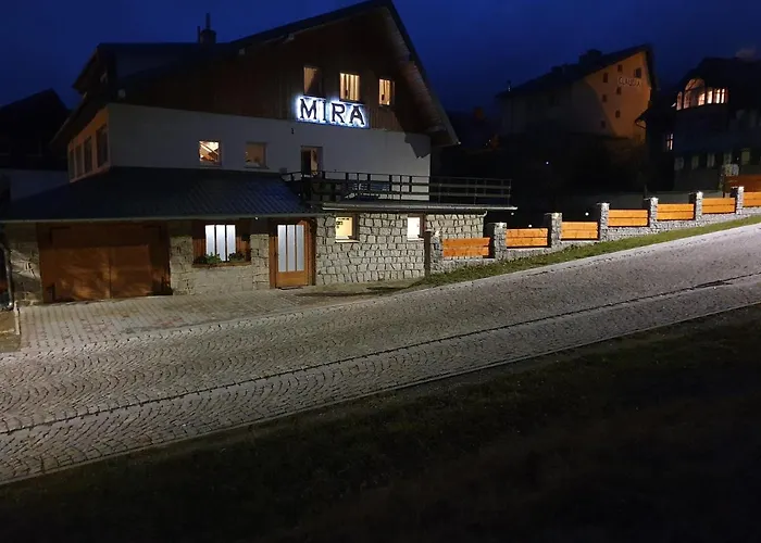 Mira Проживание в семье