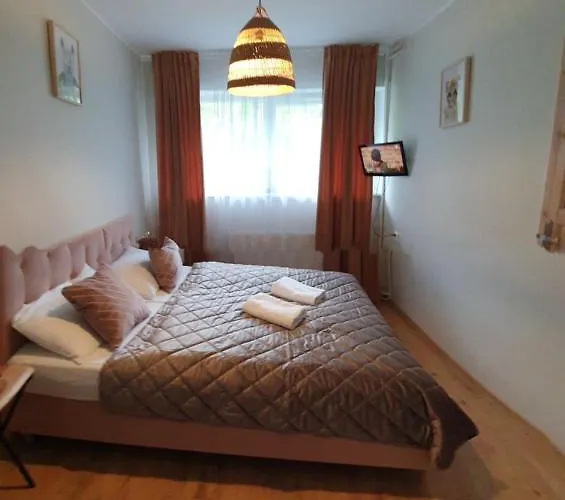 Проживание в семье Mira