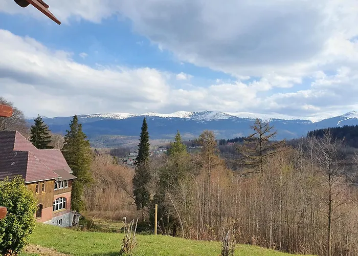 Mira Проживание в семье