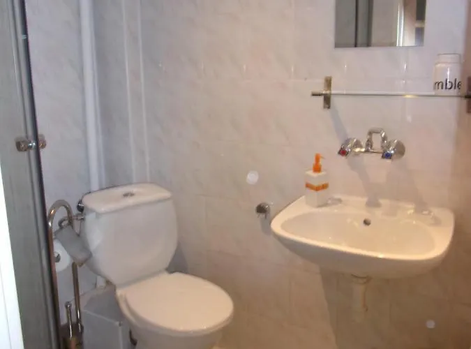 Проживание в семье Mira *