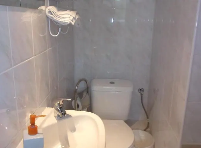 Проживание в семье Mira